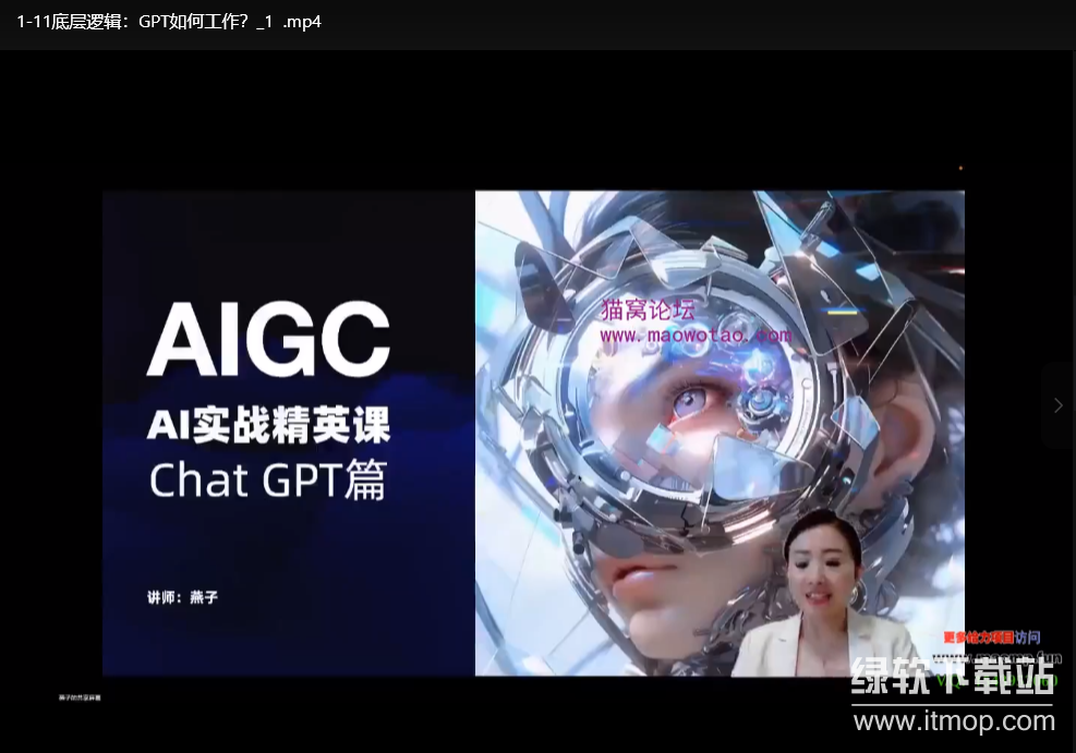AI实战精英课，chatgptAI实战教程，一起抓住AI风口的机会下载  0