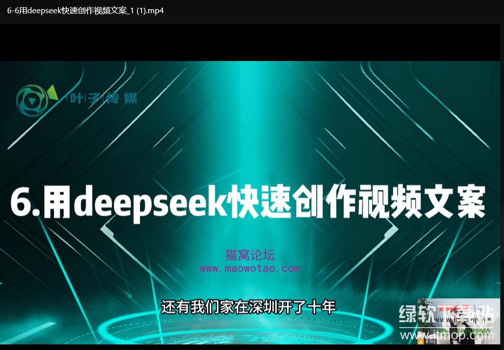美业AI获客实战指南：DeepSeek与数字人结合抖音运营技巧下载 3