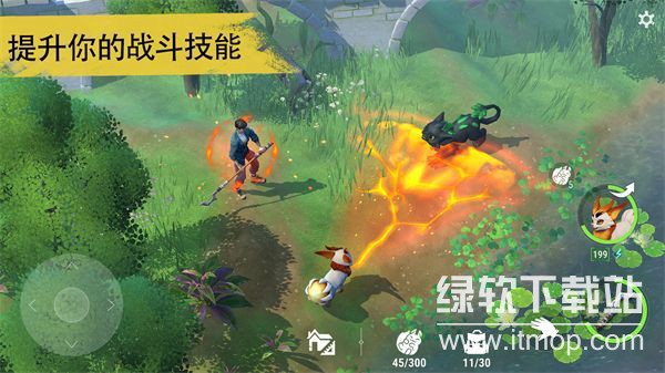 幻兽帕金无限仓库材料版下载 V0.9.21