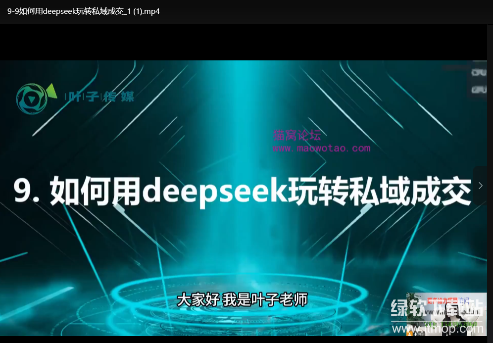 美业AI获客实战指南：DeepSeek与数字人结合抖音运营技巧下载 4