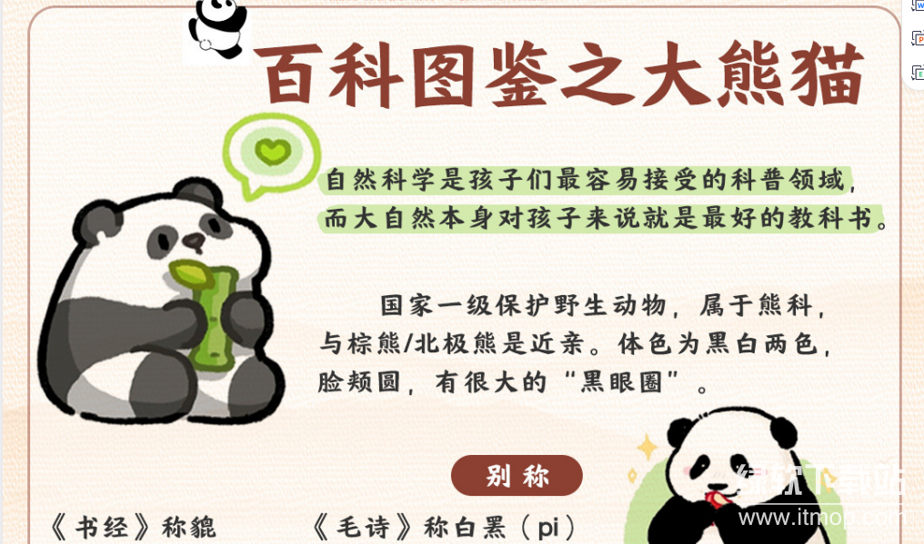 2025抖音最火小学全科全年级资料大全集【超完整版】下载 4