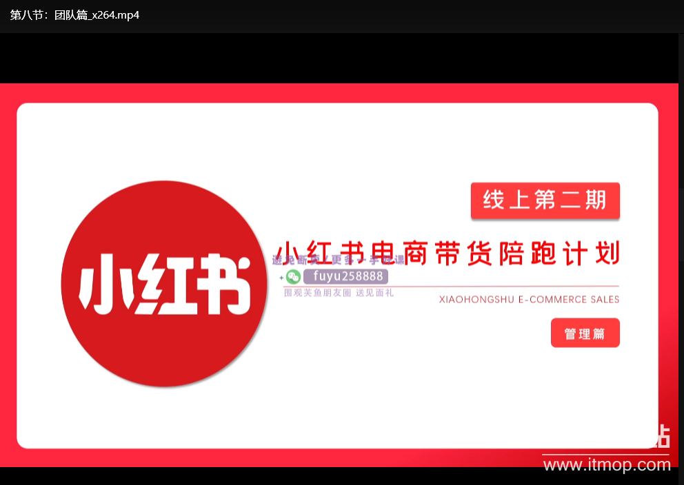 小红书电商带货课第2期：掌握有货源/无货源+虚拟产品+付费投流玩法，实现月入20k