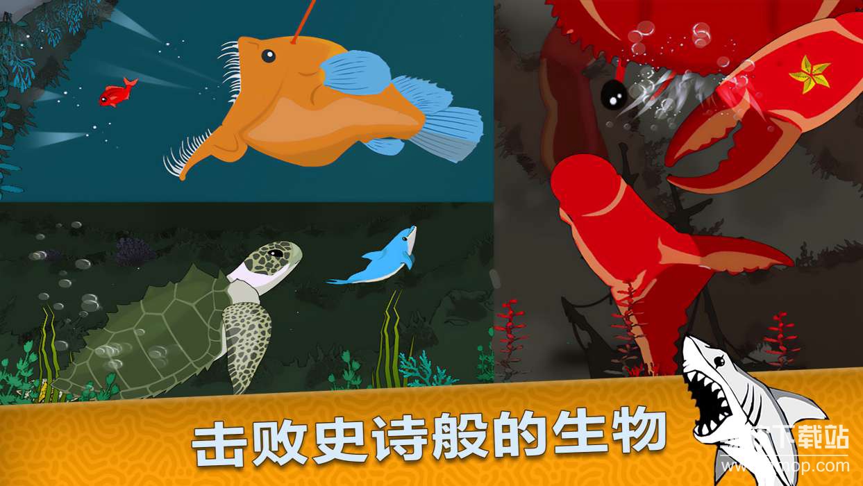 皇家鱼货币反加版下载 V4.4.1 0