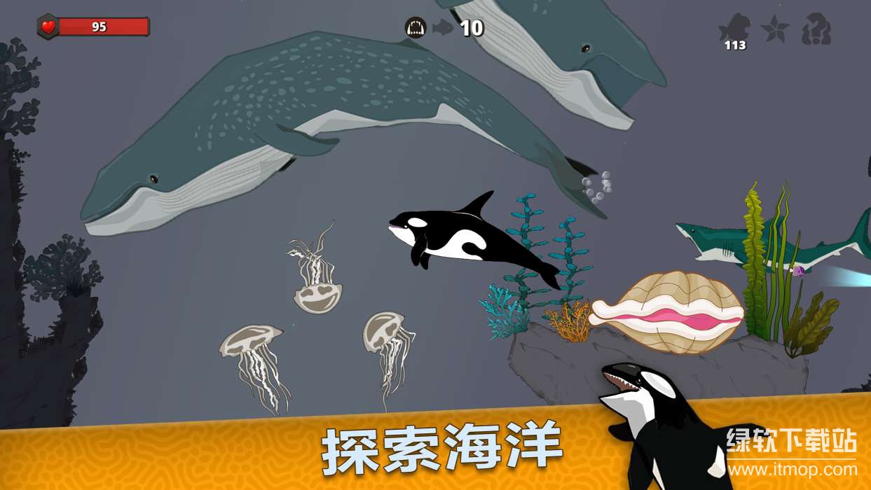 皇家鱼货币反加版下载 V4.4.1 4