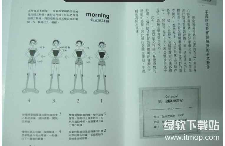 盆底肌训练指南：紧致私密体验，提升性生活质量的高效锻炼方法(2)