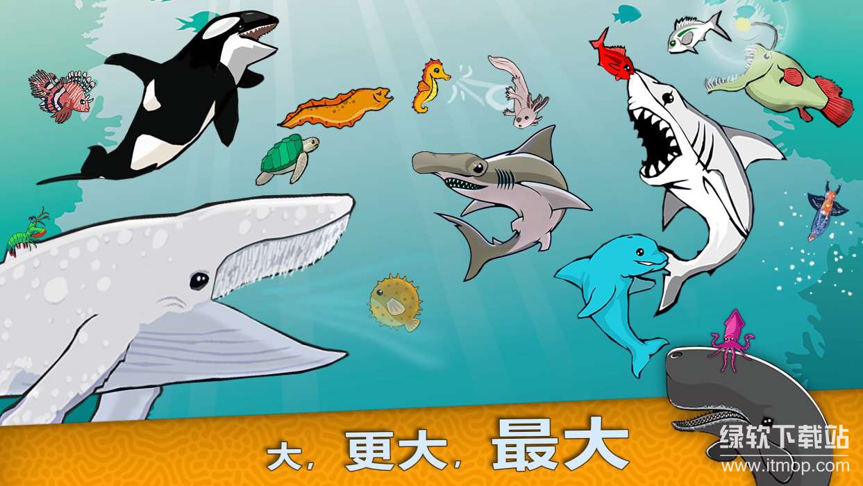 皇家鱼货币反加版下载 V4.4.1 3