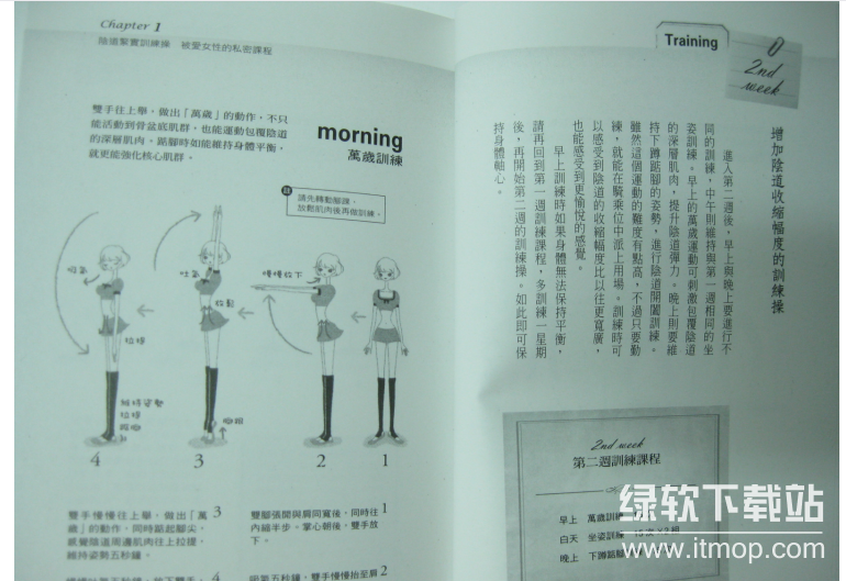 盆底肌训练指南：紧致私密体验，提升性生活质量的高效锻炼方法(4)