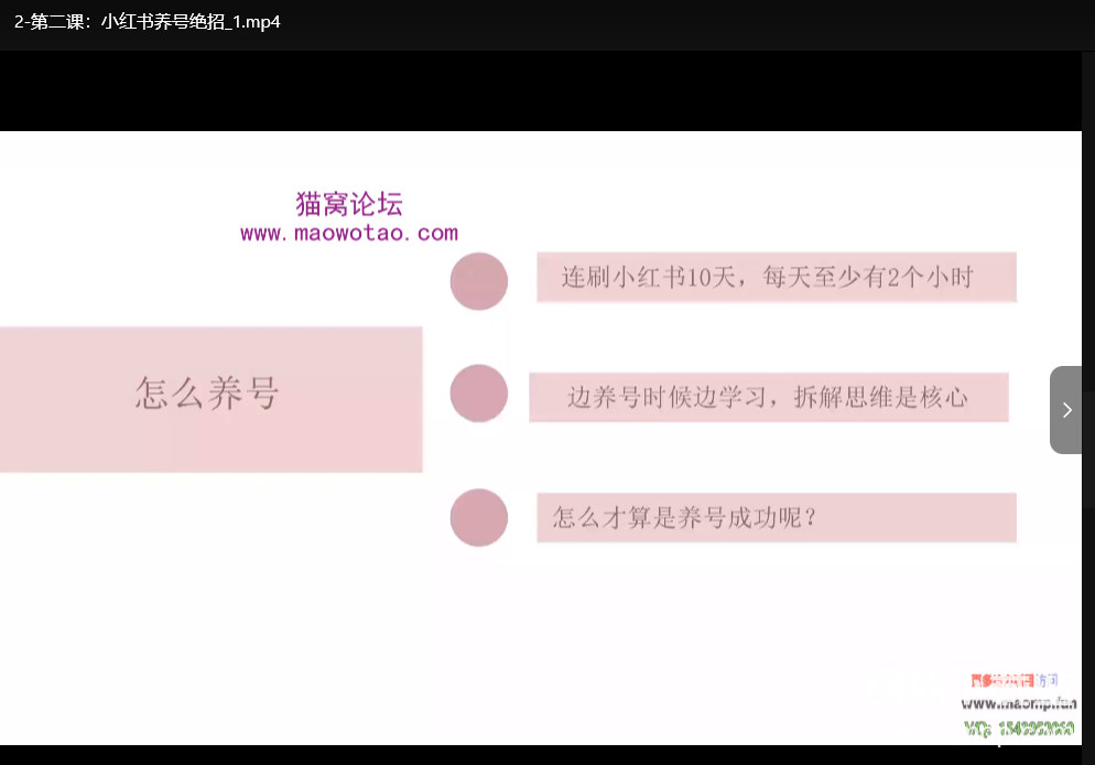 小红书电商运营课程：从零开始掌握笔记带货技巧下载  2