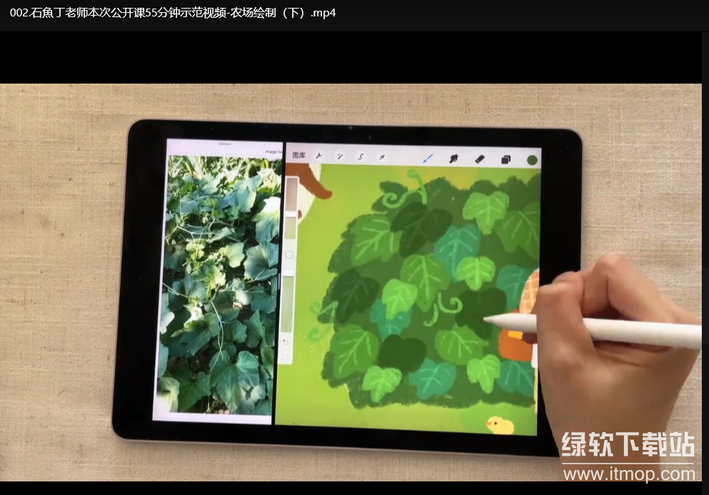 22节iPad插画入门教程：清新治愈风格从零基础到精通下载  2