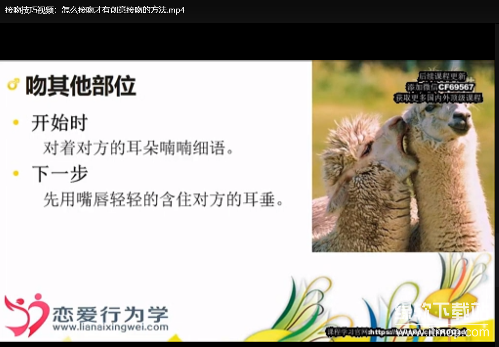 大学同学提升幸福感实用教程：大学生心理健康与生活满意度指南下载  3