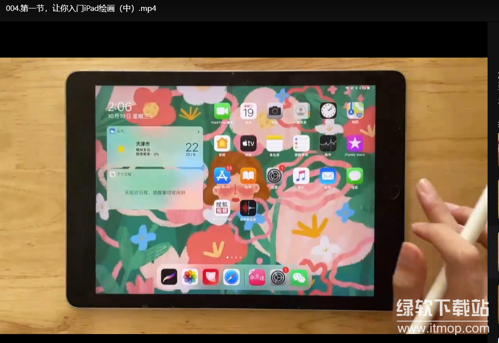 22节iPad插画入门教程：清新治愈风格从零基础到精通下载  4