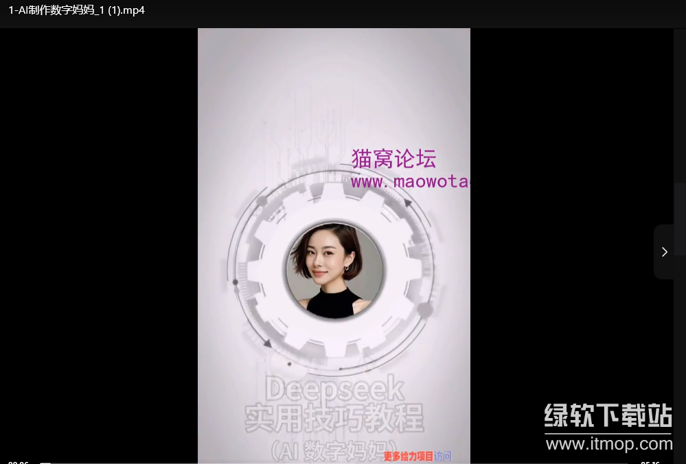 DeepSeek实际应用技巧：手把手教学版，零基础也能掌握的AI使用指南下载  0