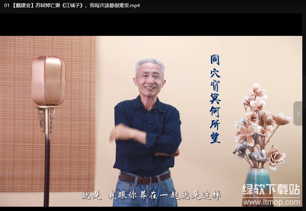 戴建业老师B站微课合集：轻松掌握古诗词与国学精髓下载 3