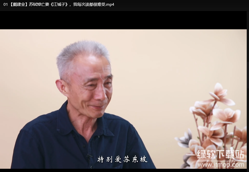 戴建业老师B站微课合集：轻松掌握古诗词与国学精髓下载 4
