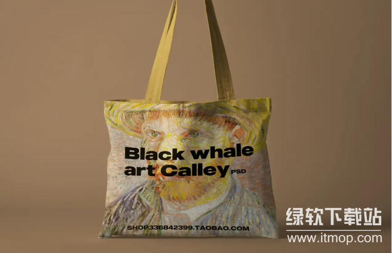 高端设计展览艺术样机100款：精品展示与视觉呈现模板下载  4