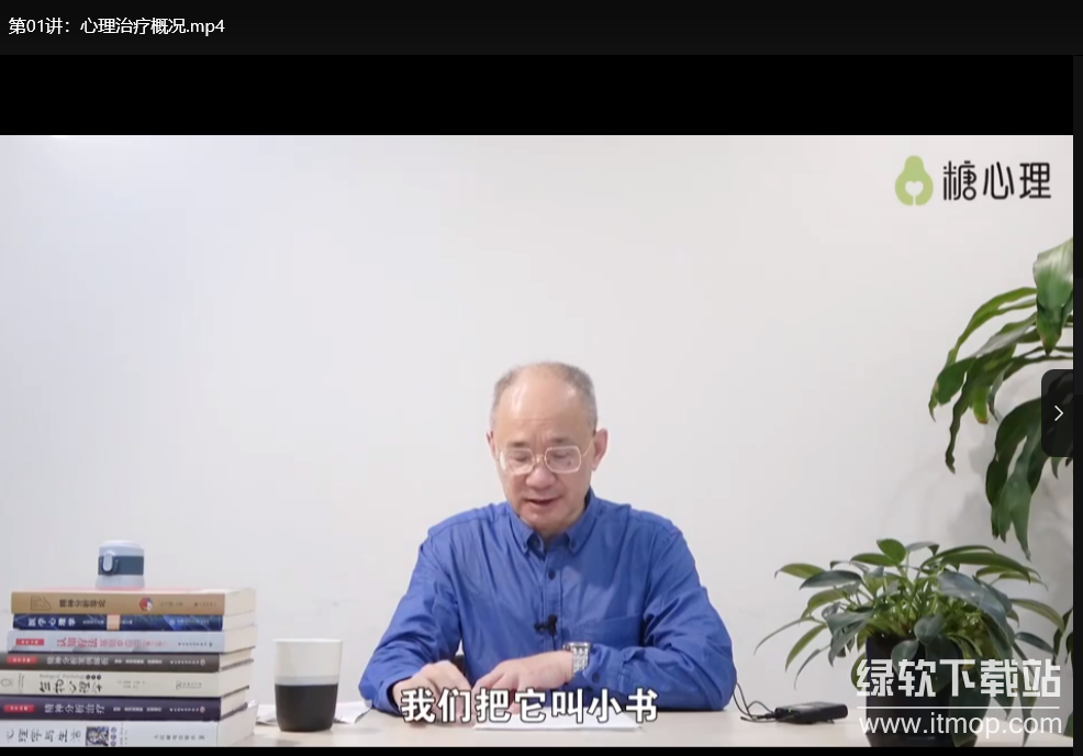 李鸣精神分析系统课120讲：掌握心理咨询核心技术下载 0