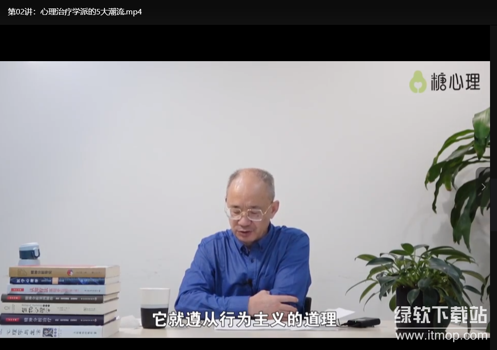 李鸣精神分析系统课120讲：掌握心理咨询核心技术下载 2