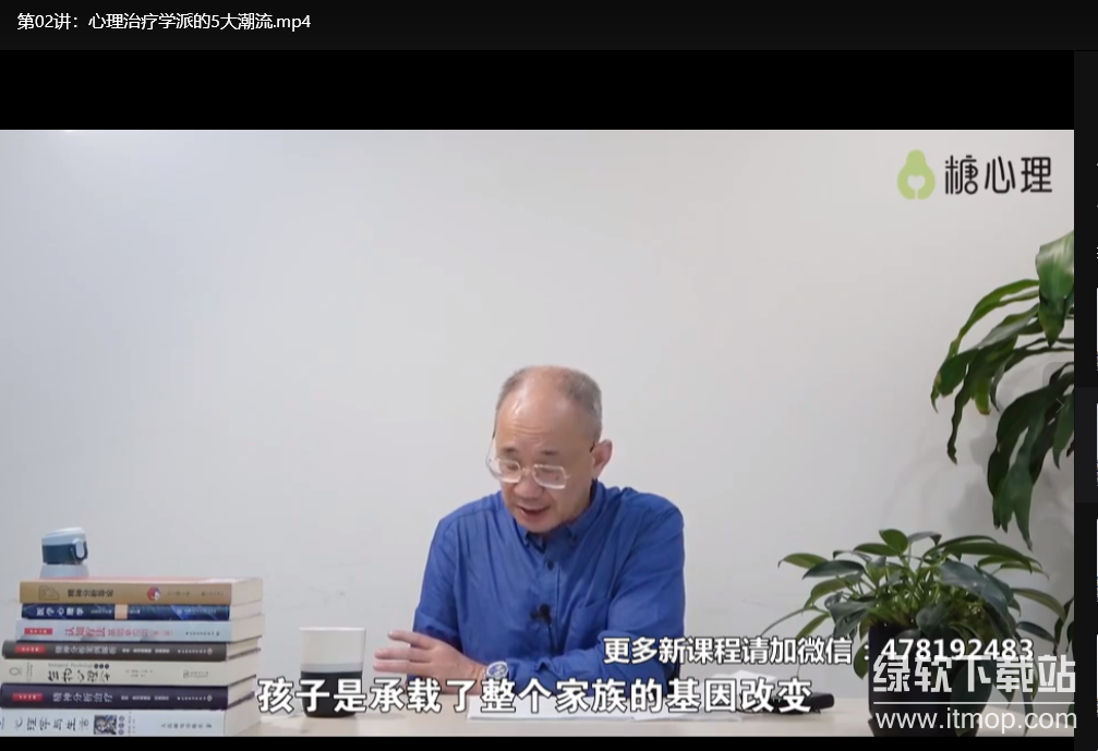 李鸣精神分析系统课120讲：掌握心理咨询核心技术下载 3