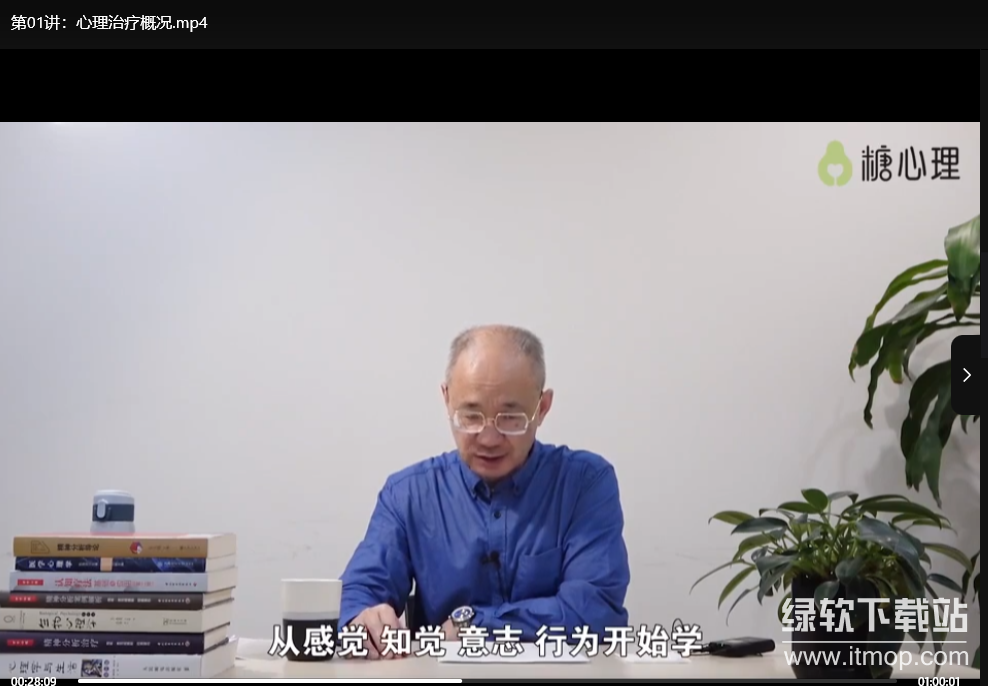 李鸣精神分析系统课120讲：掌握心理咨询核心技术下载 1