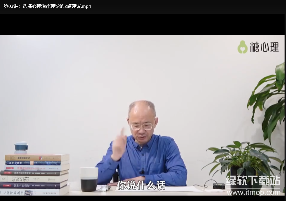 李鸣精神分析系统课120讲：掌握心理咨询核心技术下载 4