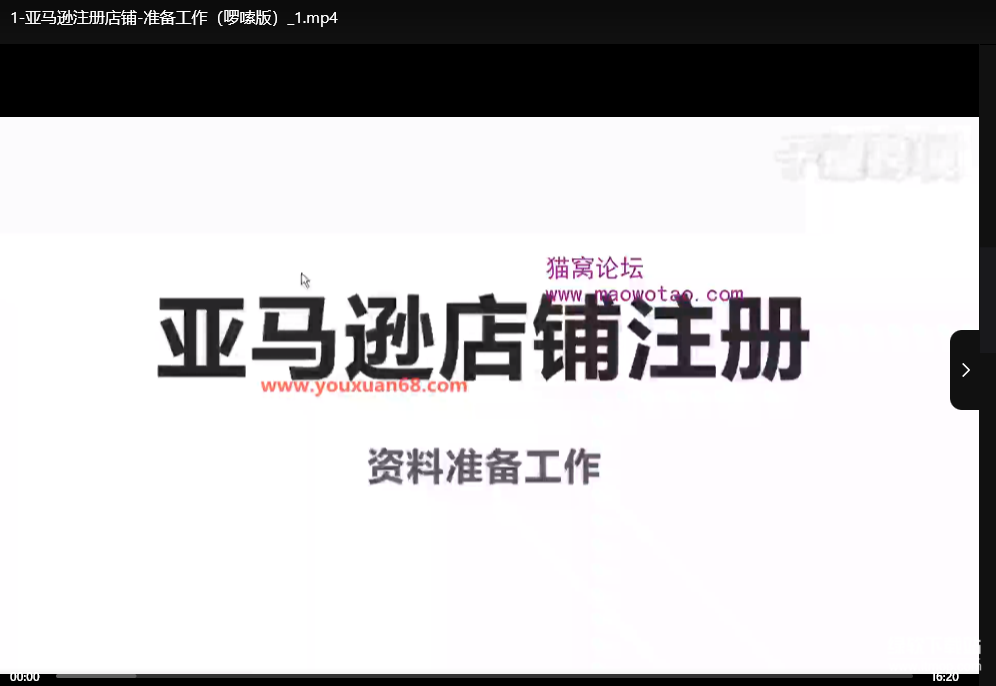 亚马逊FBA/FBM运营实战：1对1陪跑课程从新手到高阶下载  0