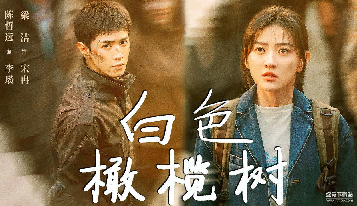 《白色橄榄树》陈哲远梁洁主演 2025军旅爱情剧 全38集4K国语中字下载  1