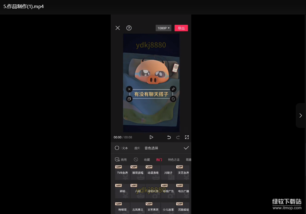 搭子经济变现秘籍：零基础搭建到月入过万的全套玩法下载  4