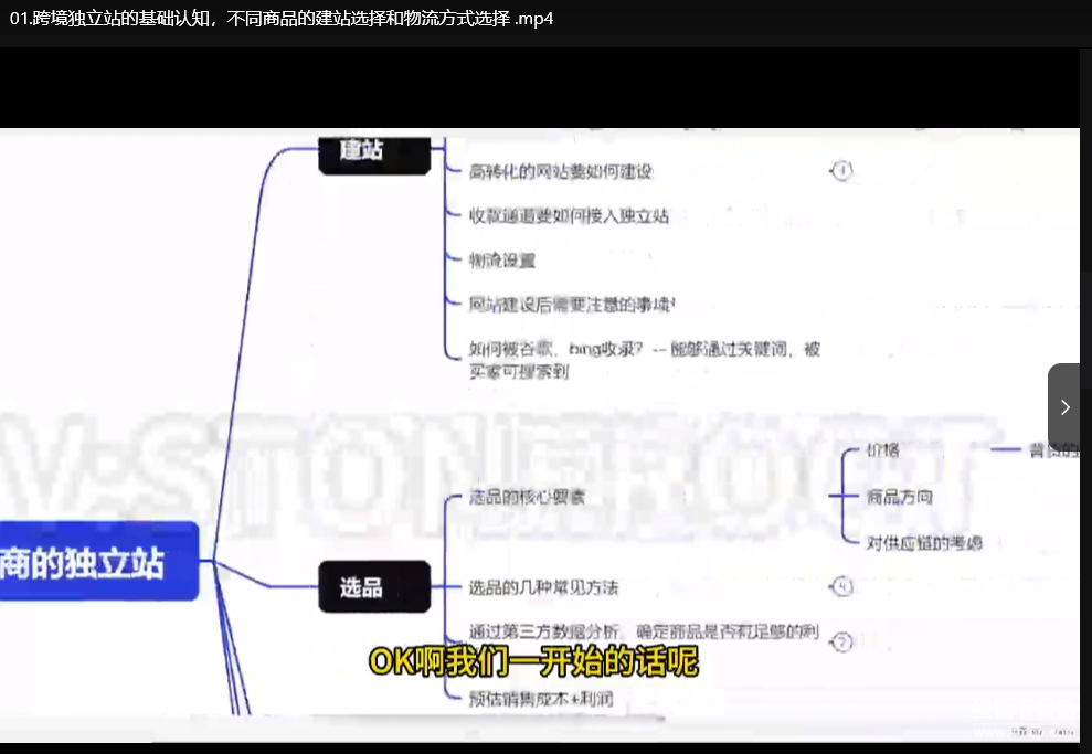 跨境电商独立站全域营销：Aron实战策略助力海外增长下载  0