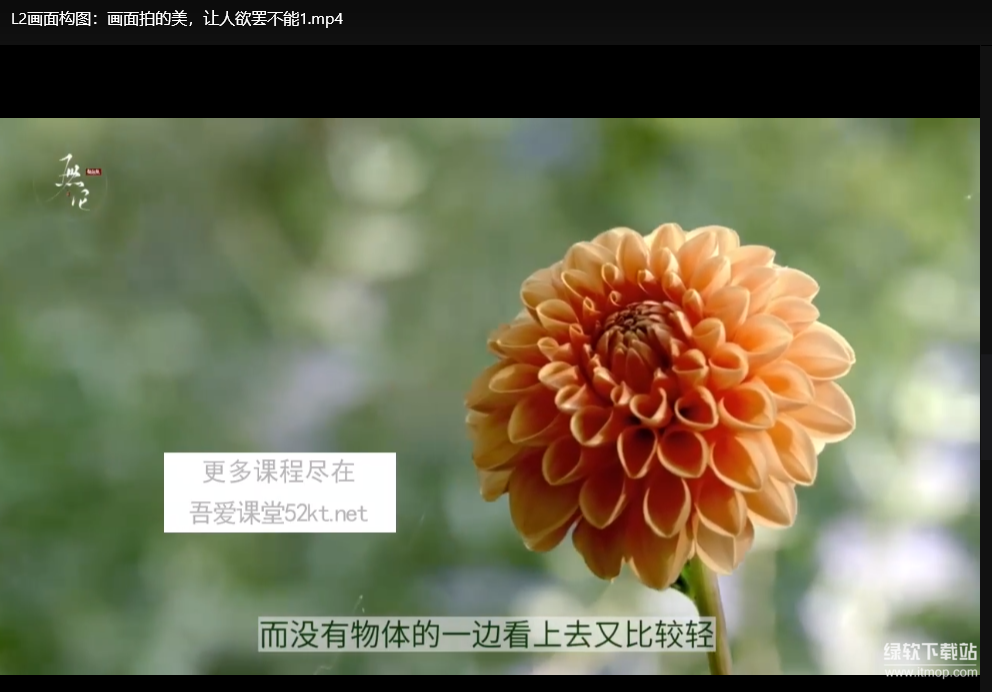 短视频创作核心课：零基础爆款制作指南下载  2