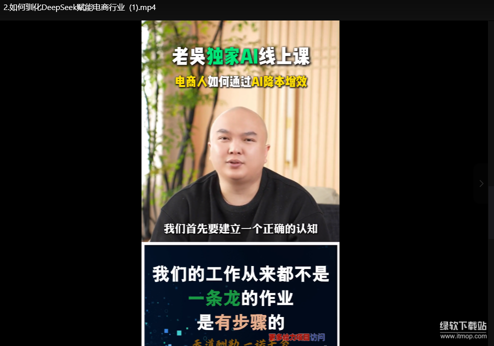 2025天诺老吴AI实战课：电商企业用DeepSeek降本提效指南下载  2