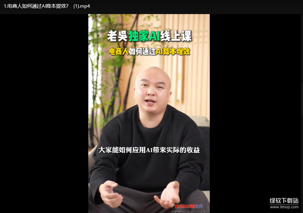 2025天诺老吴AI实战课：电商企业用DeepSeek降本提效指南下载  1
