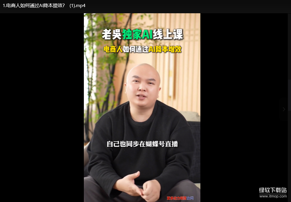2025天诺老吴AI实战课：电商企业用DeepSeek降本提效指南下载  0