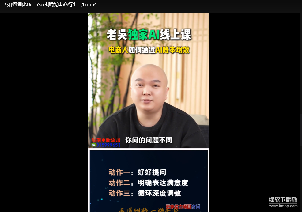 2025天诺老吴AI实战课：电商企业用DeepSeek降本提效指南下载  3