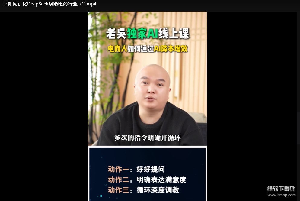 2025天诺老吴AI实战课：电商企业用DeepSeek降本提效指南下载  4