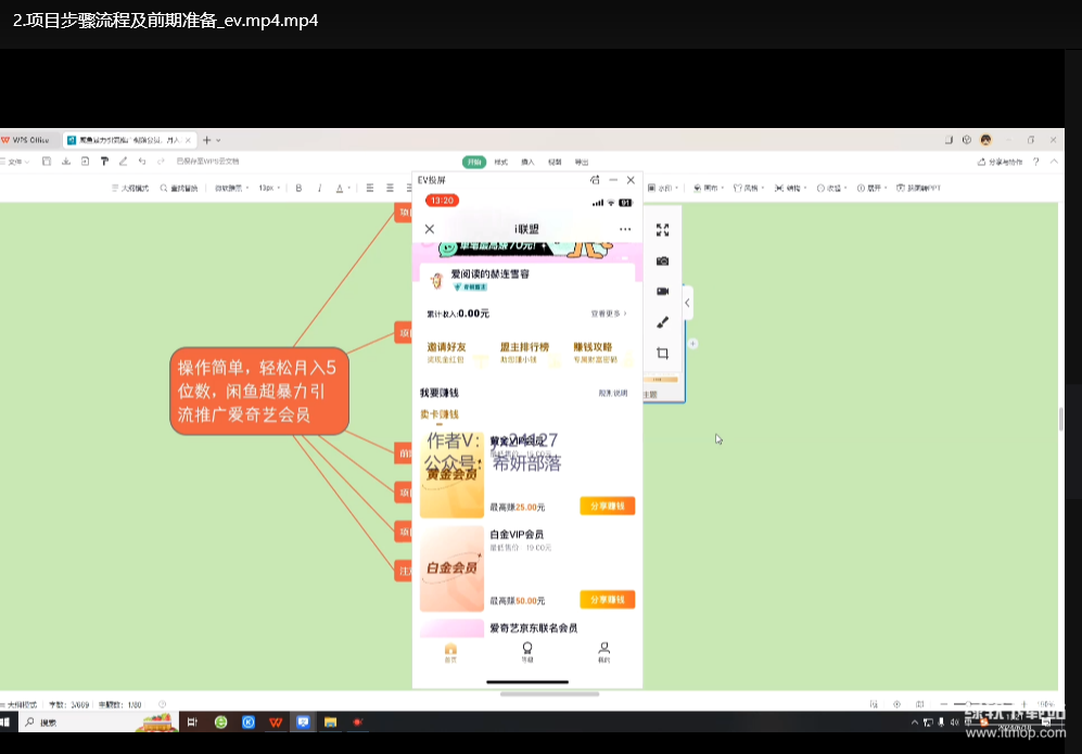 咸鱼无本卖爱奇艺月入过万实操项目：零成本副业赚钱全攻略下载  1