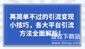 引流转化团队系统实战指南：打造高效获客与转化的核心秘籍