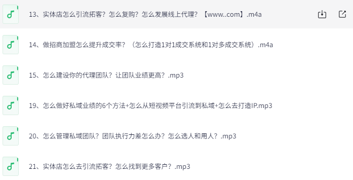引流转化团队系统实战指南：打造高效获客与转化的核心秘籍下载  4