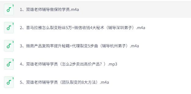 引流转化团队系统实战指南：打造高效获客与转化的核心秘籍下载  2