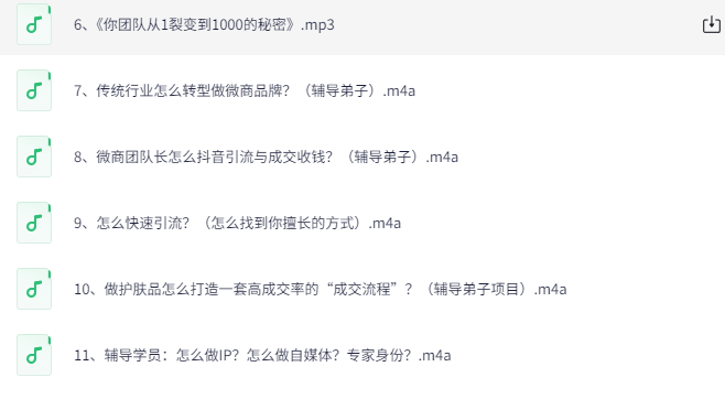 引流转化团队系统实战指南：打造高效获客与转化的核心秘籍下载  3