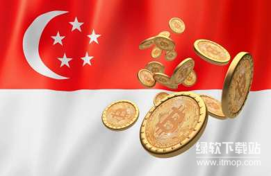 新加坡为何设定6月30日为最后期限，它对未获牌照的企业有何影响？