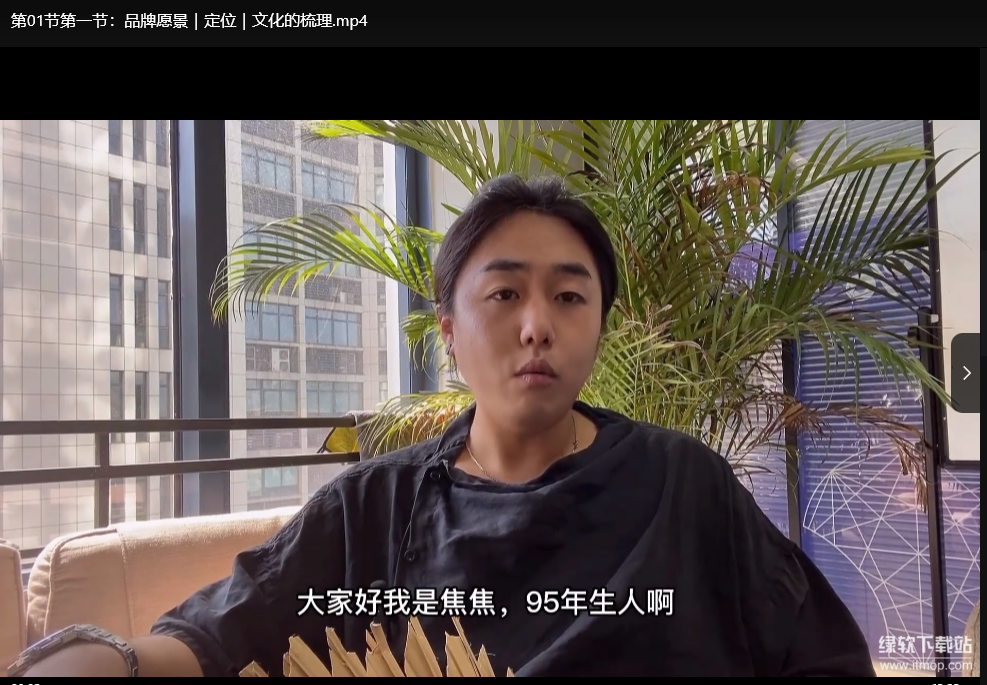 打造自带社交流量餐饮品牌：爆火策略与私域运营指南下载  0