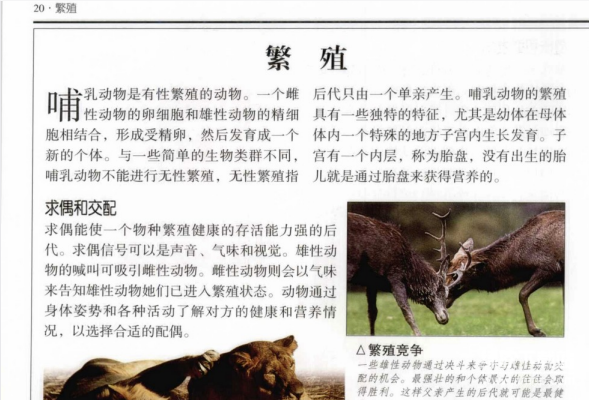 哺乳动物图鉴与恐龙大百科：450+物种彩色图谱PDF合集（5册珍藏版）下载  4