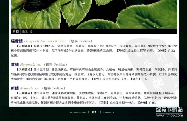 中国昆虫生态大图鉴与观赏动物饲养工培训考试教程：5本动物饲养电子书（PDF版）下载  4