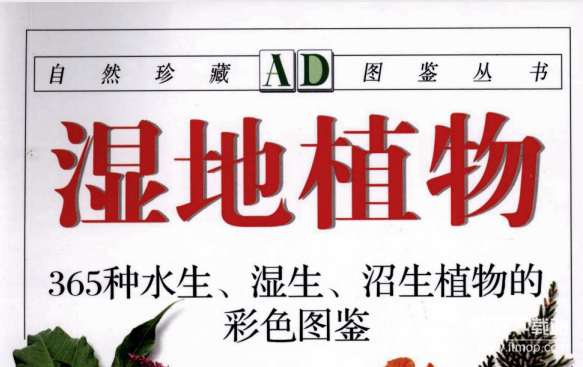 湿地植物图鉴大全：365种水生/湿生/沼生植物彩色图谱（5本PDF电子书）下载  0