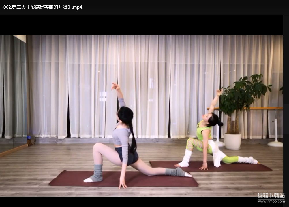 DY七日瘦身美体计划：基础梳理速成方案，7天重塑曲线下载  3