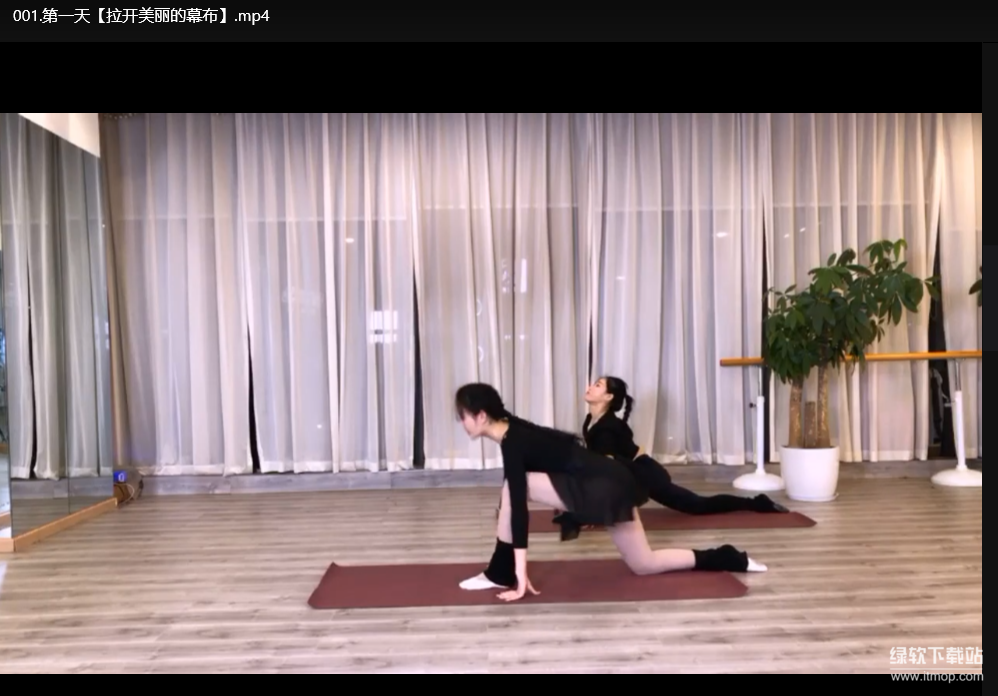 DY七日瘦身美体计划：基础梳理速成方案，7天重塑曲线下载  1