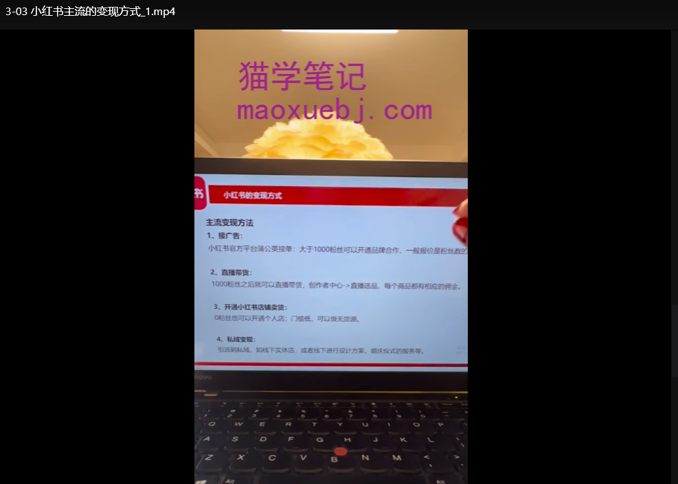 小红书运营课程及陪跑营：零基础涨粉变现实战指南下载  4