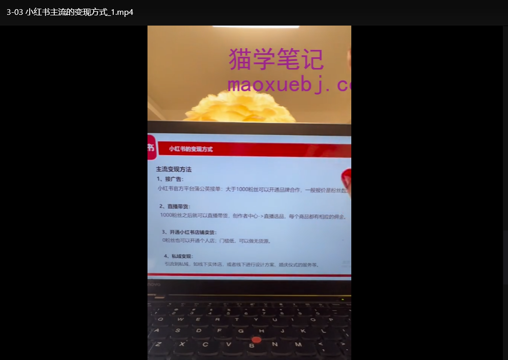 小红书运营课程及陪跑营：零基础涨粉变现实战指南下载  2