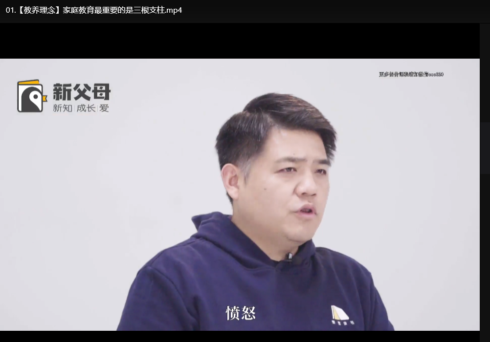 新父母五门必修大课：新手爸妈必备的育儿实战指南下载  2