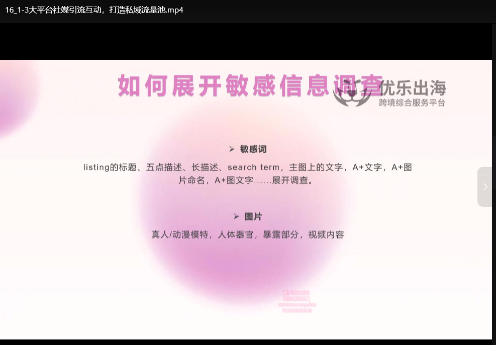 亚马逊成人用品站外营销推广方案：新品爆款打造实战指南下载  1